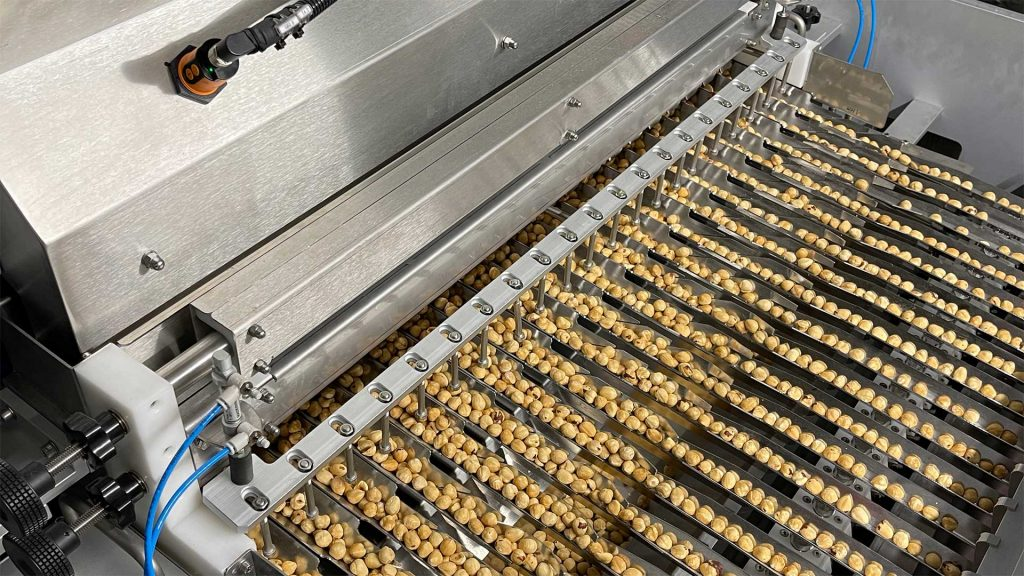 Stainless steel CAM depositor machine dispensing whole nuts in parallel lines.