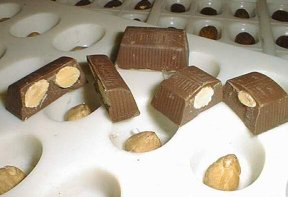 Chocolate pieces containing whole nuts on an industrial chocolate mould.