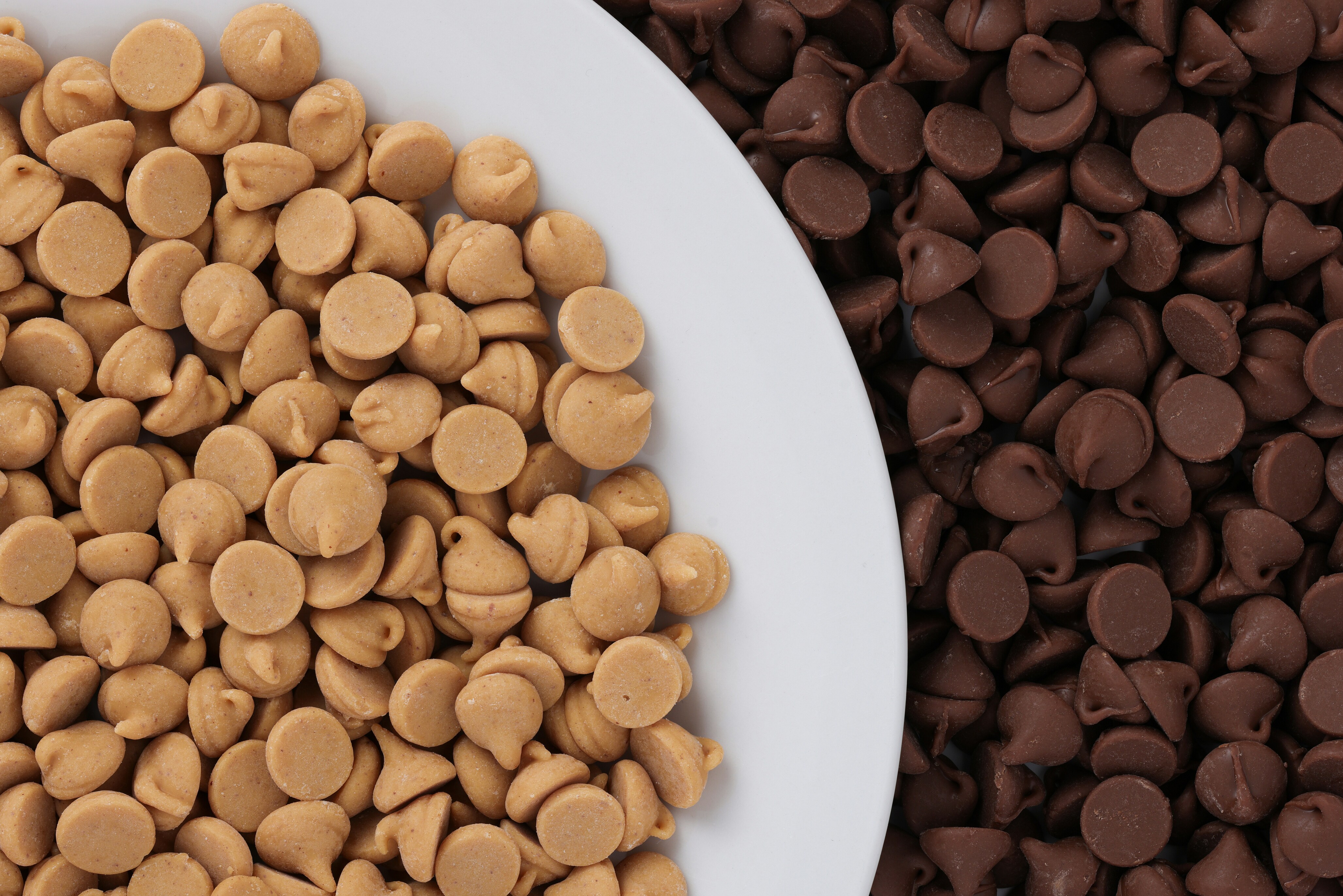 Close-up of light and dark brown chocolate chips, sorted by colour.