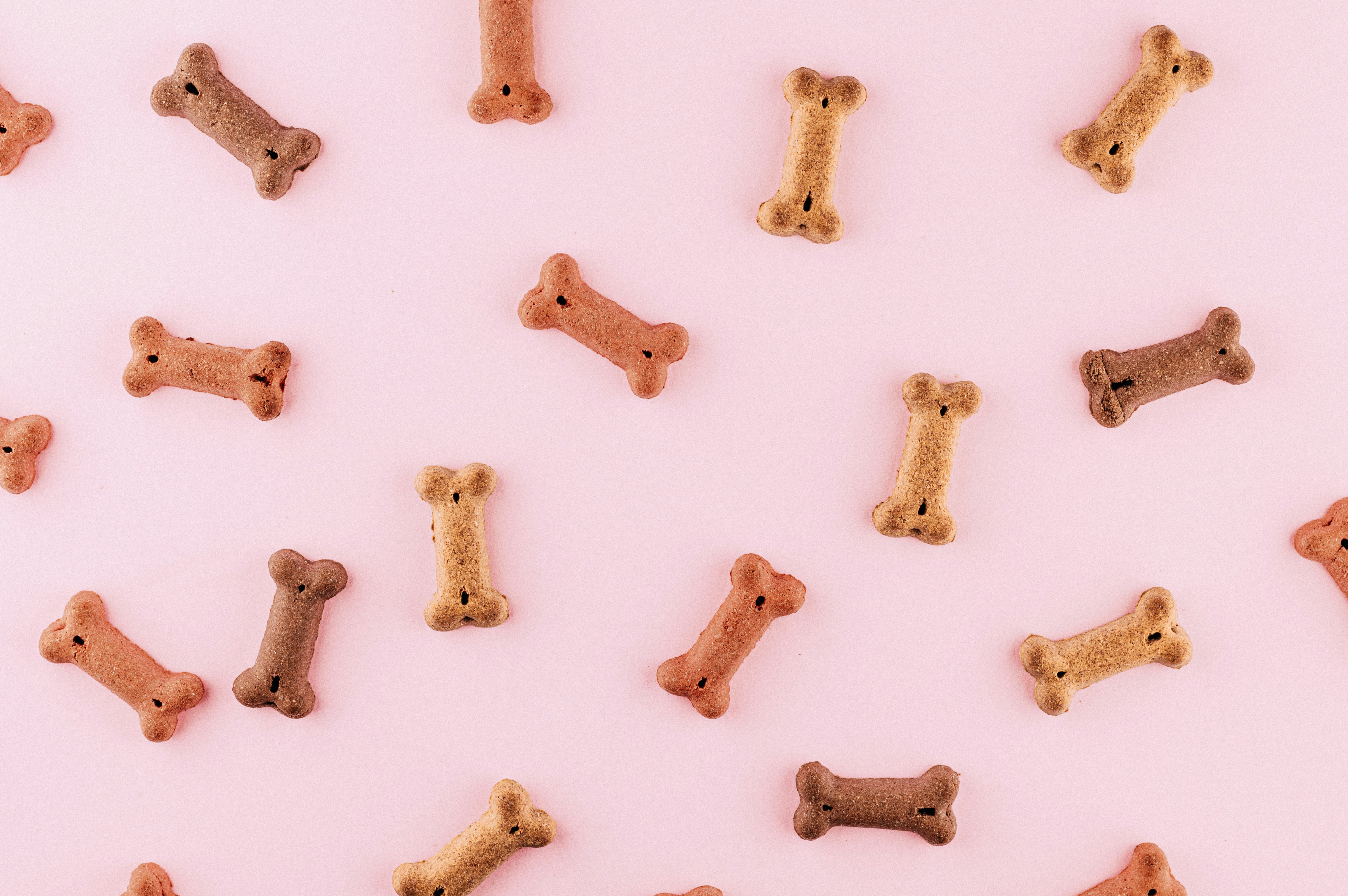 Assorted bone-shaped dog treats in different colours scattered on a pink surface.