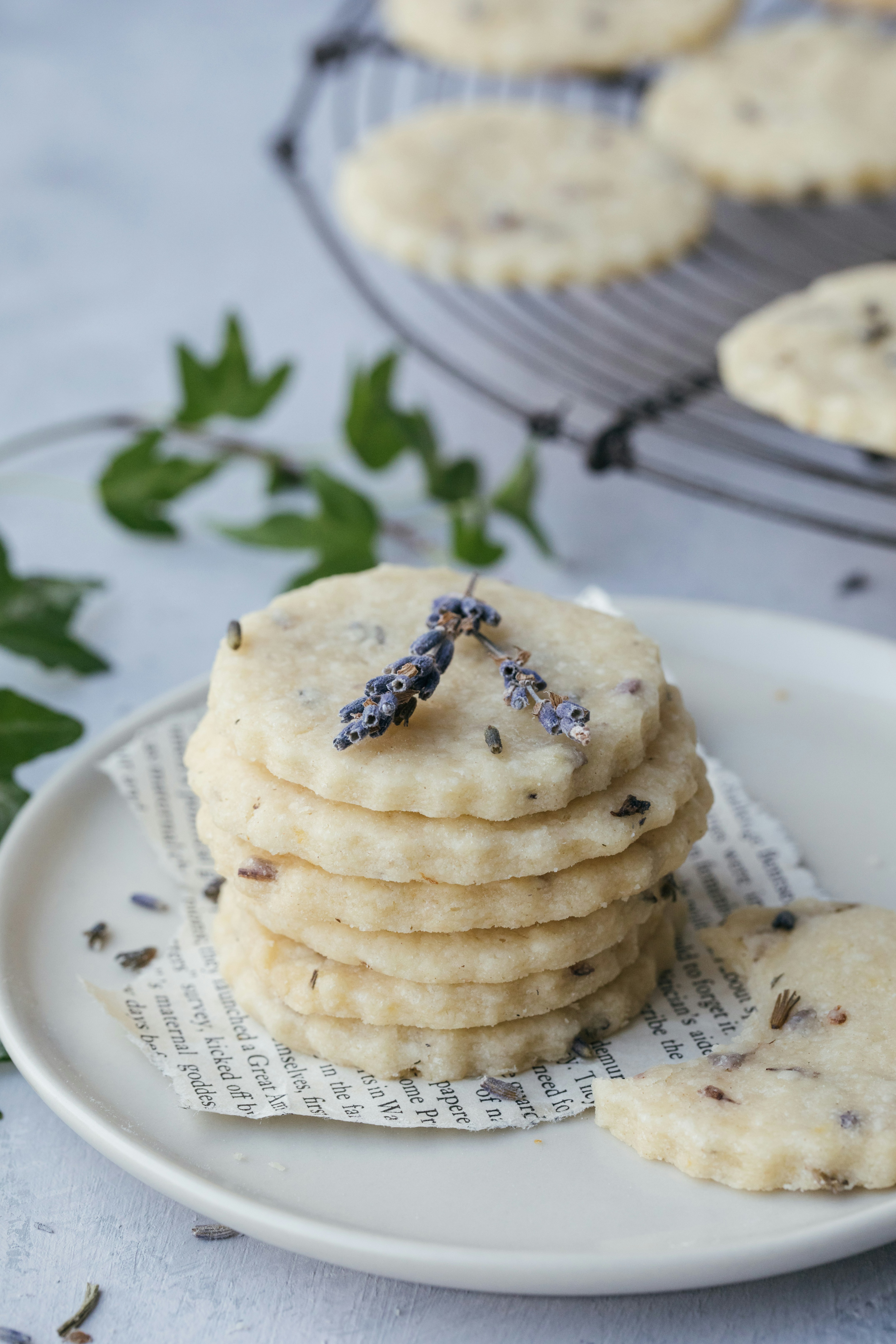 Stack of round shortbread biscuits decorated with lavender on a plate.