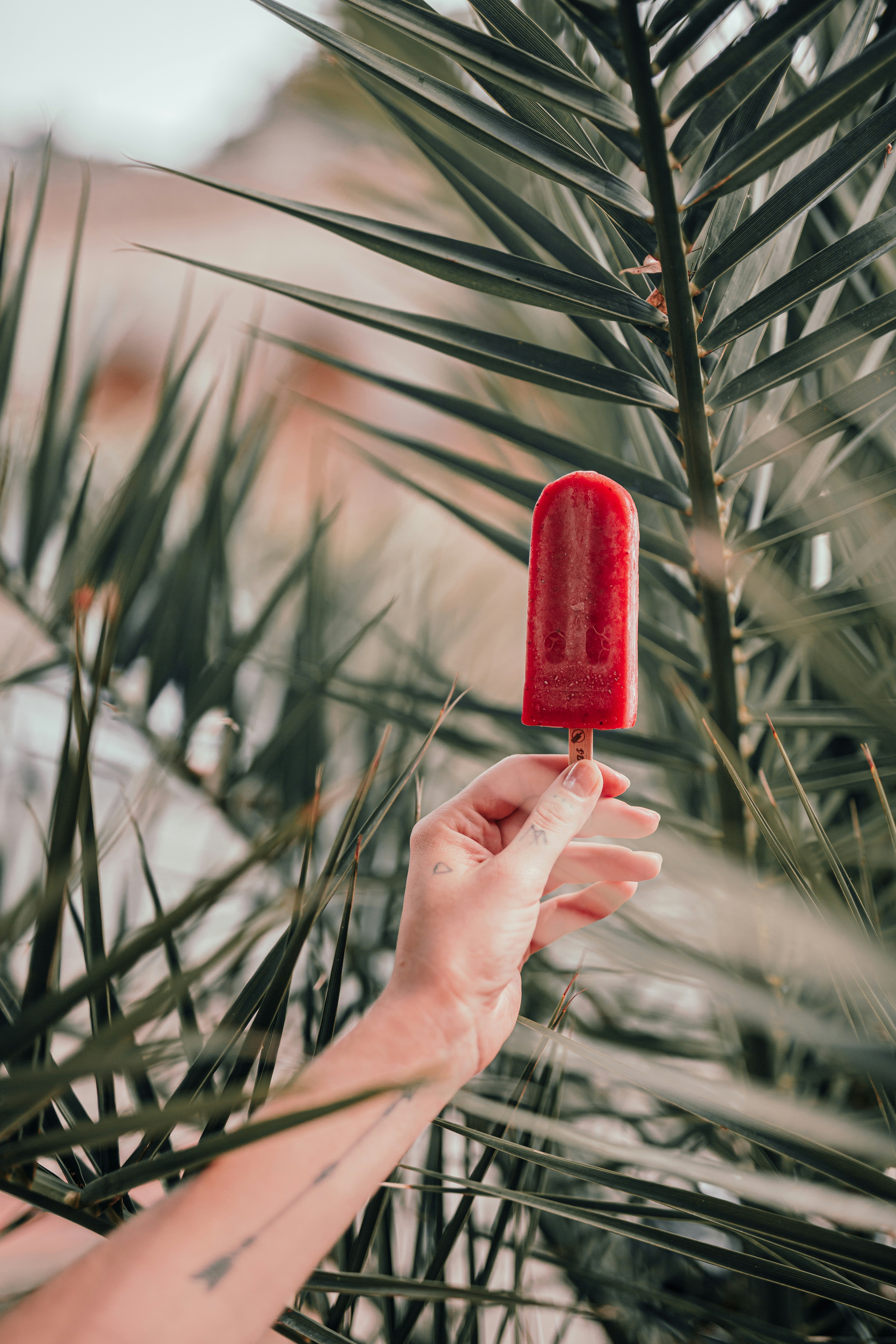 red ice lolly held over christmas tree.